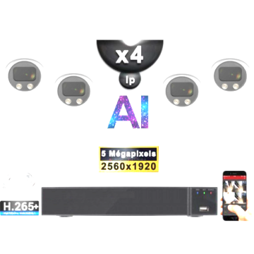 Kit Vidéo Surveillance IP